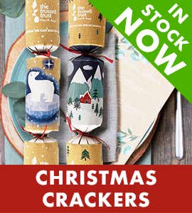 There is a overlay in the top right corner that say - IN STOCK NOW - and a banner across the bottom - CHRISTMAS CRACKERS. The image is of 2 kraft crackers that have a polar bear and a winter scape |Catering Supplies Greater Manchester