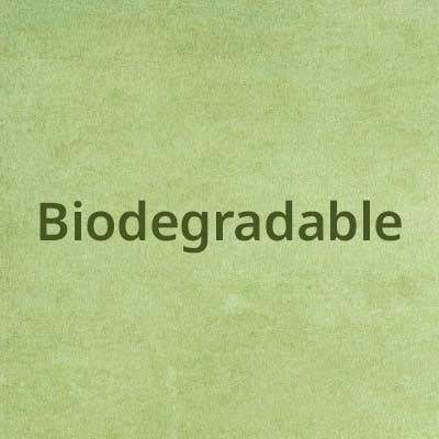 Biodegradable Disposables from Stephensons Catering Suppliers