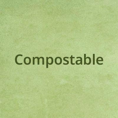 Compostable Disposables from Stephensons Catering Suppliers